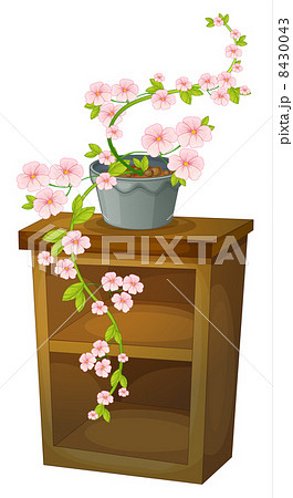 blossom blossom 8430043