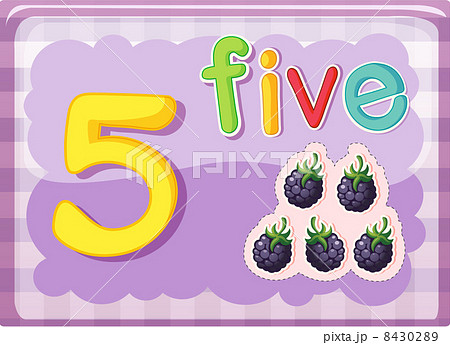 Number cards 8430289