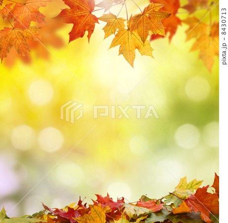 autumn background 8430713
