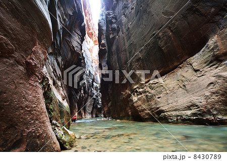 Canyon in Zion Canyon in Zion 8430789