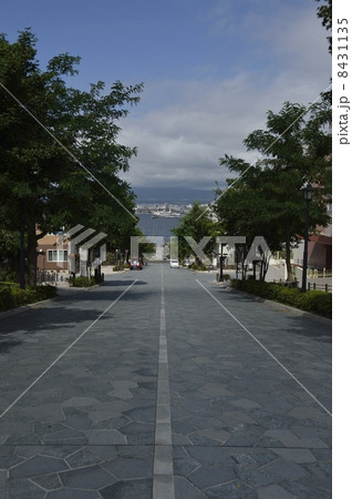 函館・八幡坂 函館・八幡坂 8431135