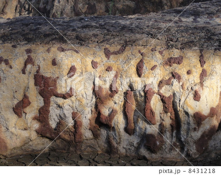 ミステリークレーターズ 8431218