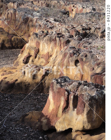 ミステリークレーターズ 8431220