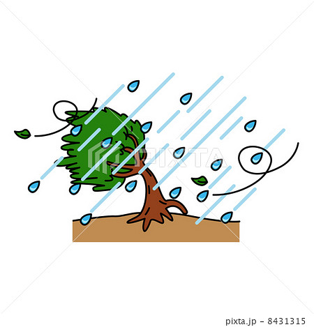 暴風雨 8431315