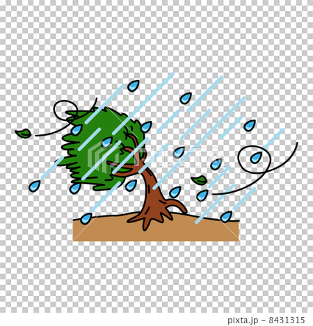 暴風雨 8431315