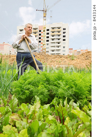 Grandfather pose with shovel on field near construction yard Grandfather pose with shovel on field near construction yard 8433144