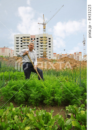 Grandfather dig field near construction yard Grandfather dig field near construction yard 8433225
