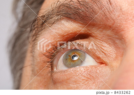 eye of man, eyebrows, eyelashes, macro, focus on eye 8433262