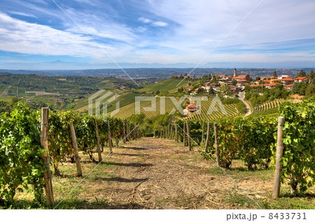 Vineyards on the hills and small town in Italy. 8433731