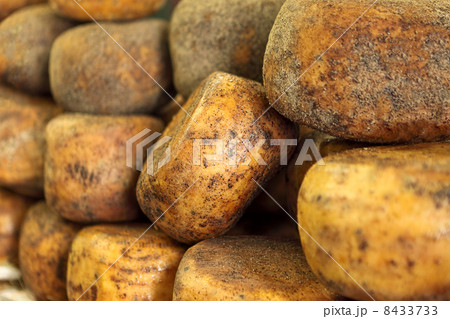 Pecorino cheese. 8433733
