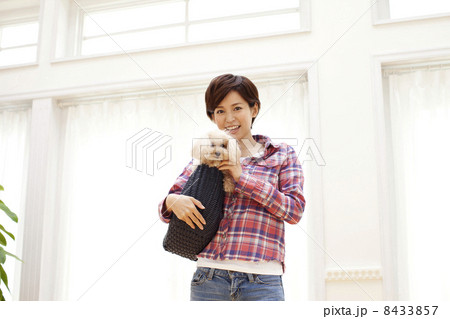 女性とトイプードル 女性とトイプードル 8433857