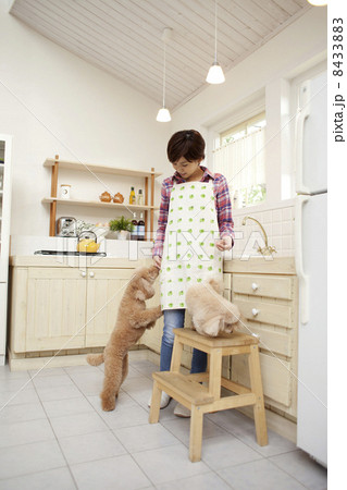 女性とトイプードル 8433883