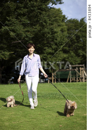 女性とトイプードル 8433894