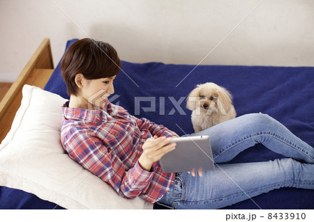 女性とタブレットとトイプードル 女性とタブレットとトイプードル 8433910
