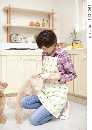 女性とトイプードル 女性とトイプードル 8434065