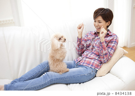 女性とトイプードル 8434138