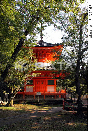 紀三井寺　多宝塔 8434568