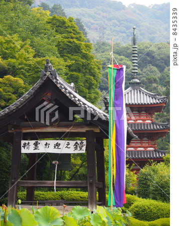 三室戸寺 8435339