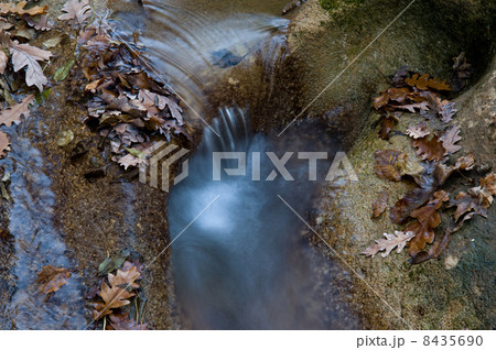 Leaves in the stream 8435690