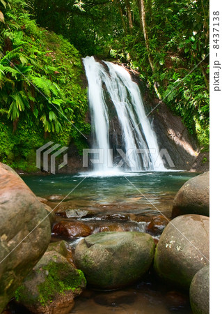 La Cascade aux Ecrevisses, Guadeloupe, French caribbean island La Cascade aux Ecrevisses, Guadeloupe, French caribbean island 8437138