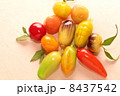 ルークチュップ　黄色　スイーツ　タイ王国  8437542