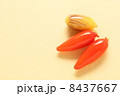 ルークチュップ　黄色　スイーツ　タイ王国  8437667