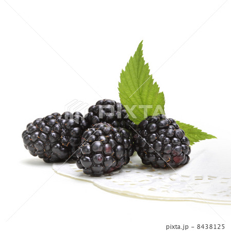 Fresh blackberry with leaf 8438125