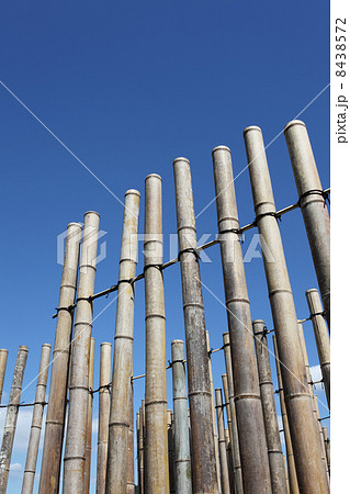 竹の柵 竹の柵 8438572