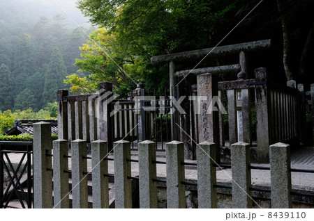 静寂の寂光院 8439110