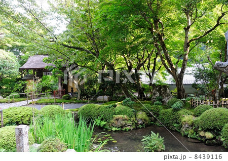 静寂の寂光院 静寂の寂光院 8439116