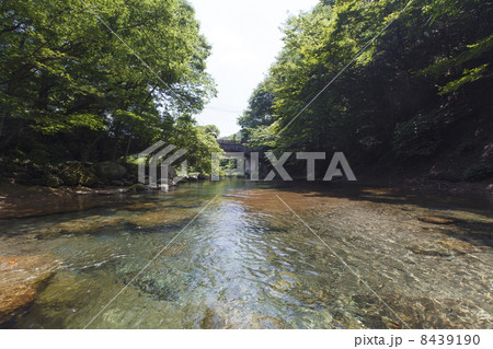 那須塩原市　那賀川 8439190