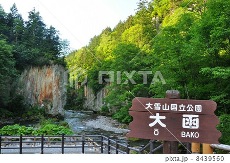 層雲峡 8439560