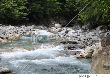 初夏の付知峡 初夏の付知峡 8439589