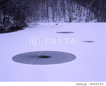 曲沢沼雪景色 8439714