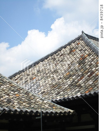 元興寺 元興寺 8439718