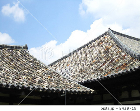 元興寺 元興寺 8439719