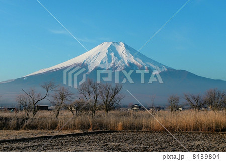 富士山 8439804