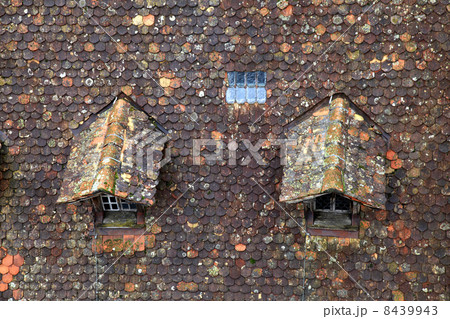 Old brown tile roof with dormer Old brown tile roof with dormer 8439943