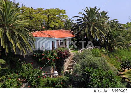 Beautiful white house in the mediterranean garden(Greece). Beautiful white house in the mediterranean garden(Greece). 8440002