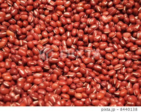 小豆 8440138