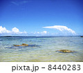 グアムの浜辺 8440283
