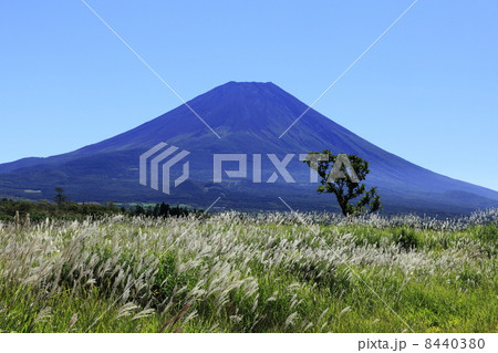 秋の朝霧高原 8440380