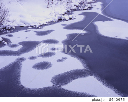 厳冬の秋元湖の岸辺 8440976