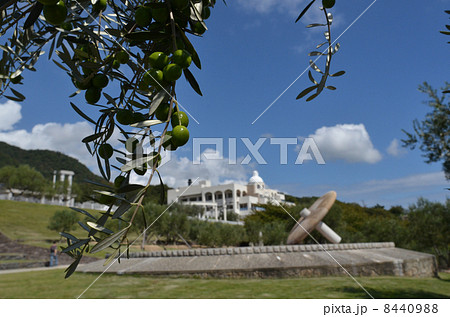 オリーブ公園 8440988