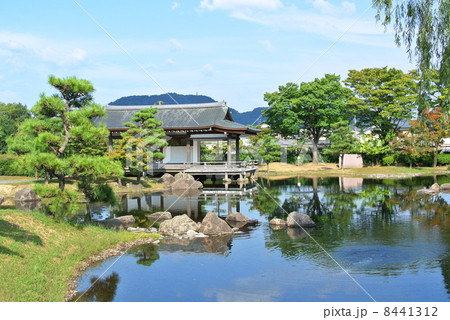 日本庭園 日本庭園 8441312