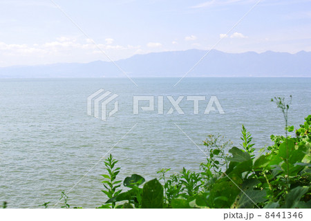 緑と琵琶湖01 緑と琵琶湖01 8441346