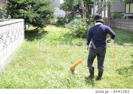 家庭用電動草刈機で庭の草刈りをする中年女性の後ろ姿 8441362