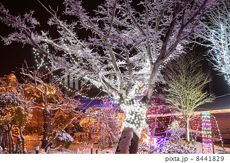 雪とイルミネーション 8441829