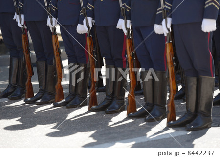 Military parade in Sevastopol, Ukraine 8442237
