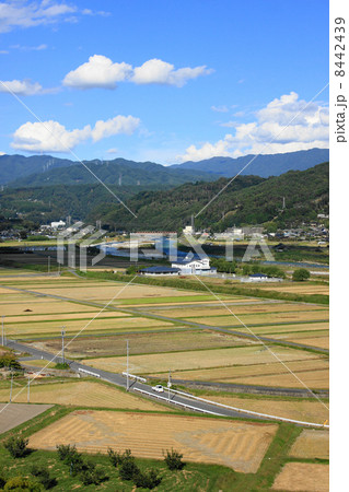 田園風景　 8442439